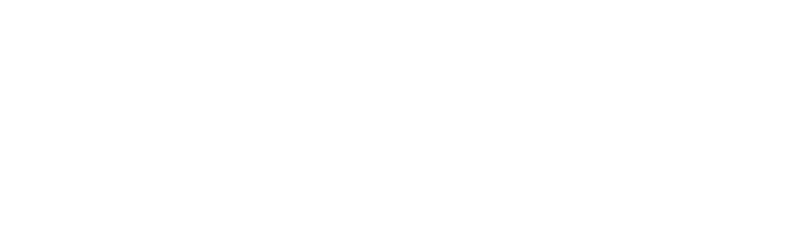 SAP SRL